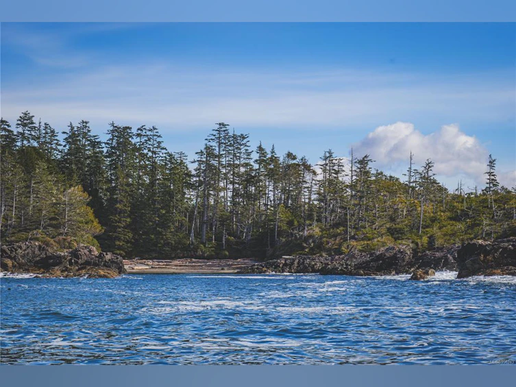 Lot A Vargas Island, Tofino, BC, V0R 2Z0 - 10