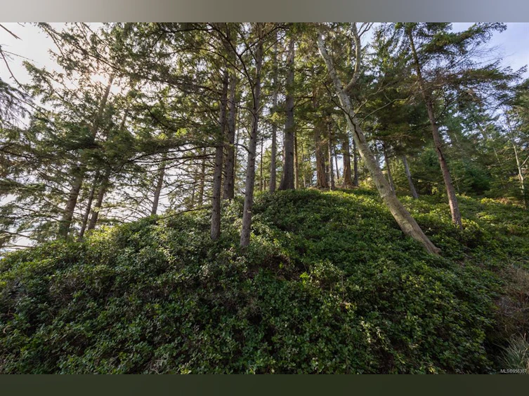 243 Cape Mudge Road, Quadra Island, BC, V0P 1N0 - 28