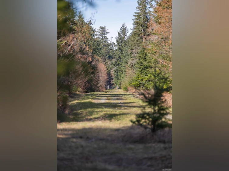 243 Cape Mudge Road, Quadra Island, BC, V0P 1N0 - 31