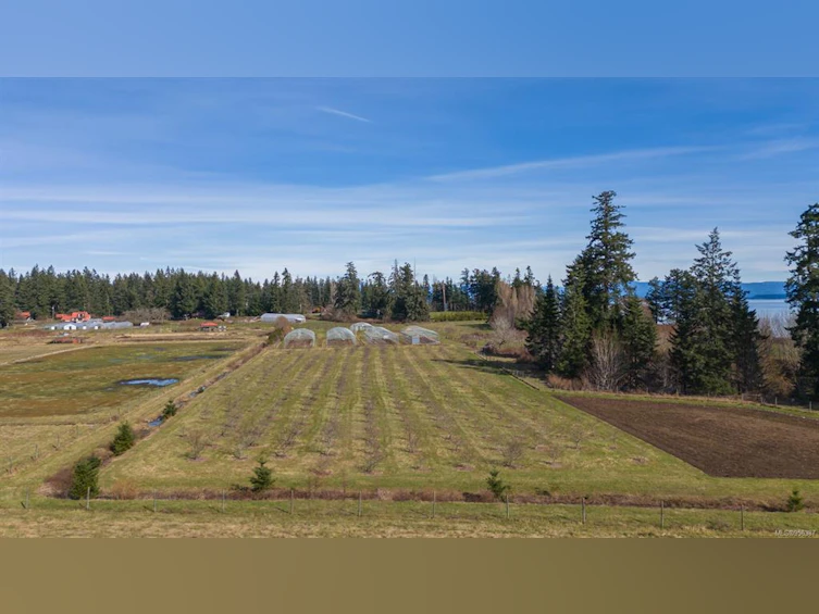 243 Cape Mudge Road, Quadra Island, BC, V0P 1N0 - 35