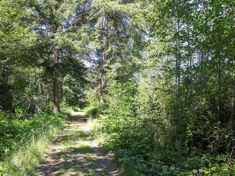 2 Little River Road, Comox, BC, V9M 4C5 - 12
