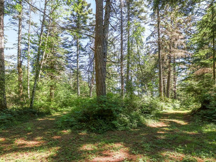 2 Little River Road, Comox, BC, V9M 4C5 - 13