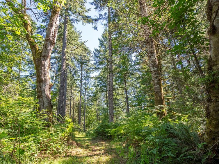 2 Little River Road, Comox, BC, V9M 4C5 - 15