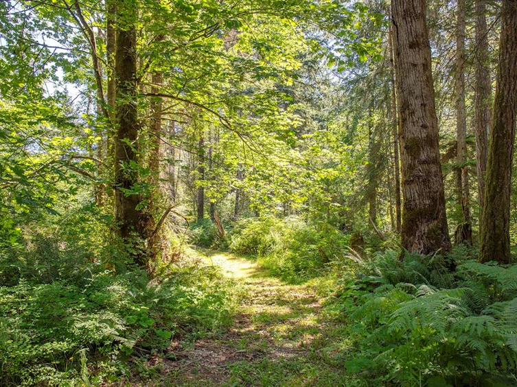 2 Little River Road, Comox, BC, V9M 4C5 - 17