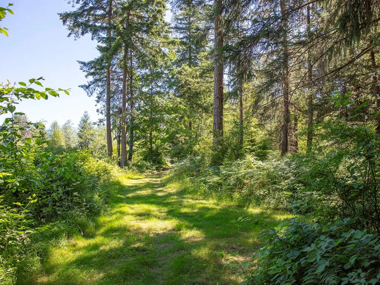 2 Little River Road, Comox, BC, V9M 4C5 - 22