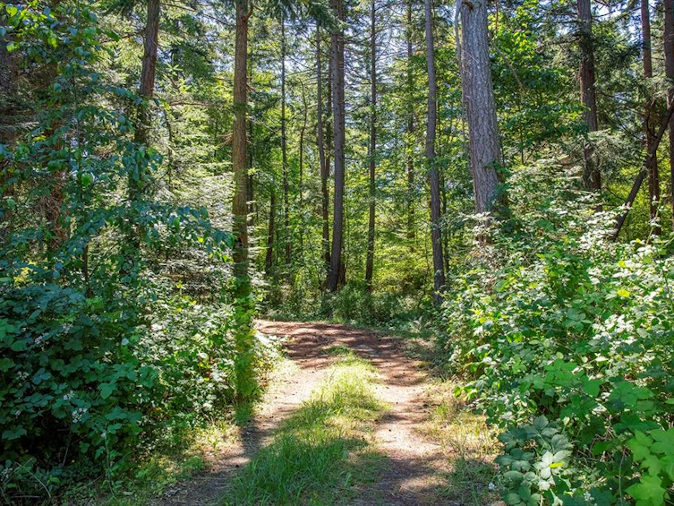 2 Little River Road, Comox, BC, V9M 4C5 - 24