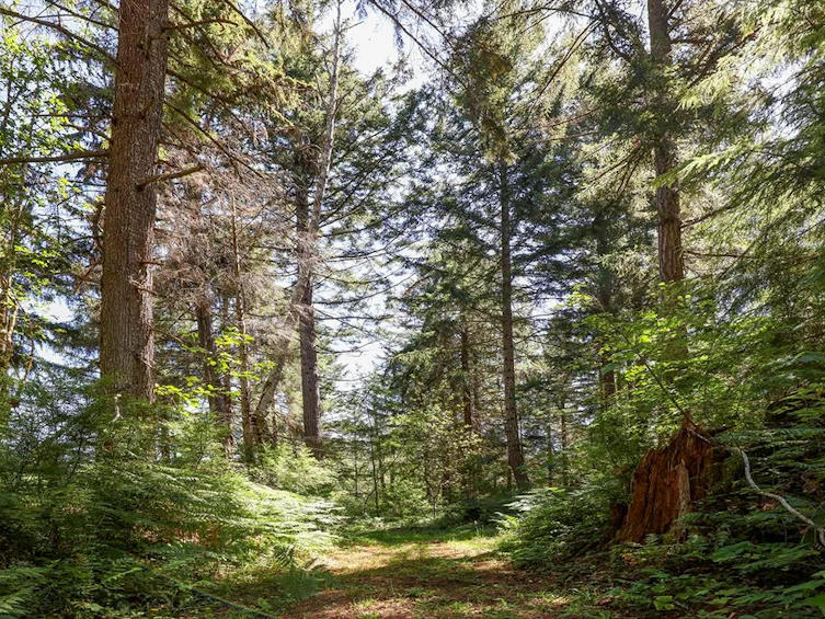 2 Little River Road, Comox, BC, V9M 4C5 - 4