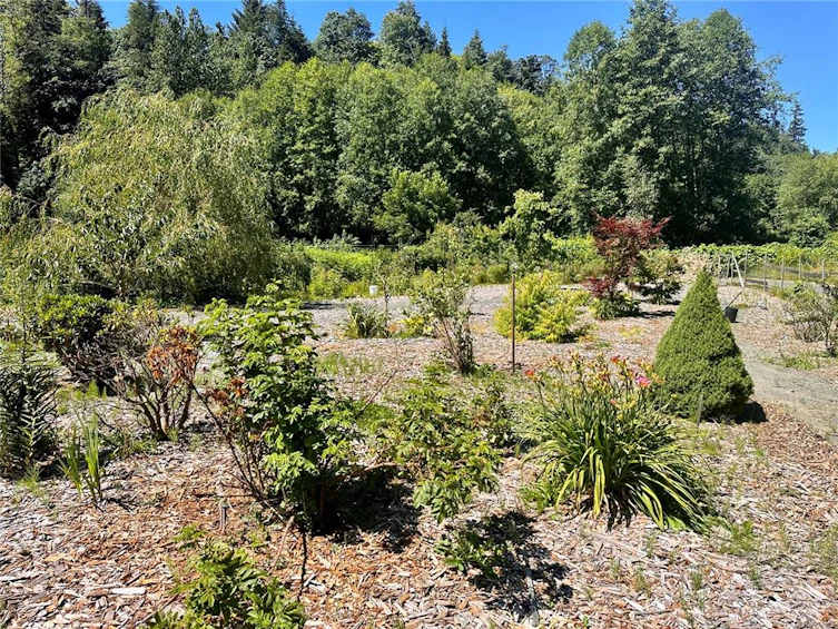 1165 Salmon River Main, Kelsey Bay/Sayward, BC, V0P 1R0 - 79