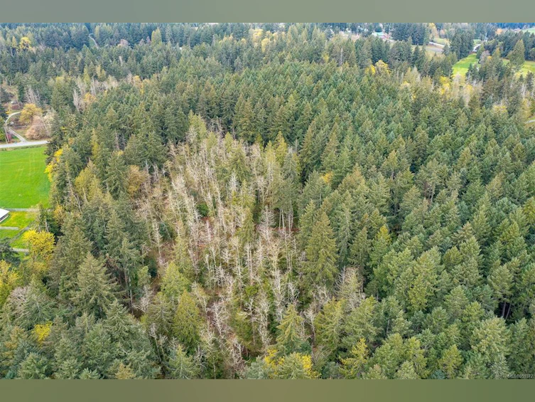 Lot A La Fortune Road, Cobble Hill, BC, V0R 1L4 - 7
