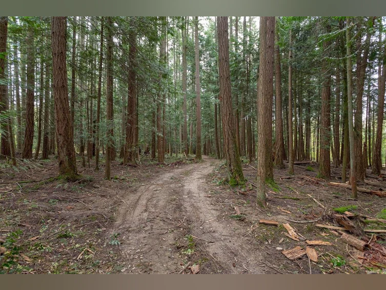 Lot A La Fortune Road, Cobble Hill, BC, V0R 1L4 - 9