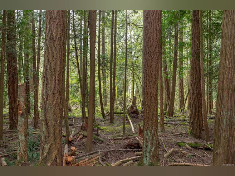 Lot A La Fortune Road, Cobble Hill, BC, V0R 1L4 - 11