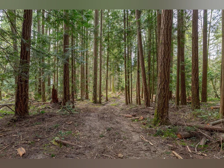 Lot A La Fortune Road, Cobble Hill, BC, V0R 1L4 - 12