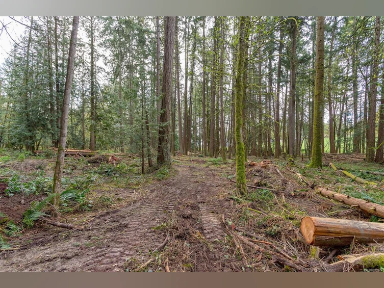 Lot A La Fortune Road, Cobble Hill, BC, V0R 1L4 - 13
