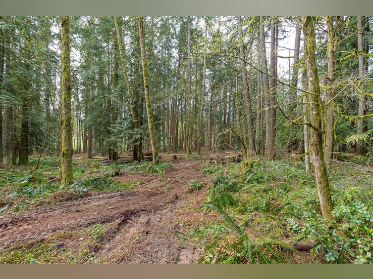 Lot A La Fortune Road, Cobble Hill, BC, V0R 1L4 - 14