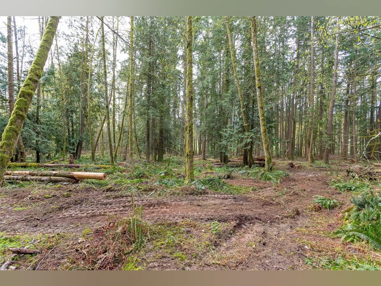 Lot A La Fortune Road, Cobble Hill, BC, V0R 1L4 - 15