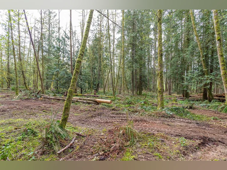 Lot A La Fortune Road, Cobble Hill, BC, V0R 1L4 - 16