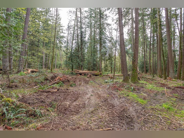 Lot A La Fortune Road, Cobble Hill, BC, V0R 1L4 - 18