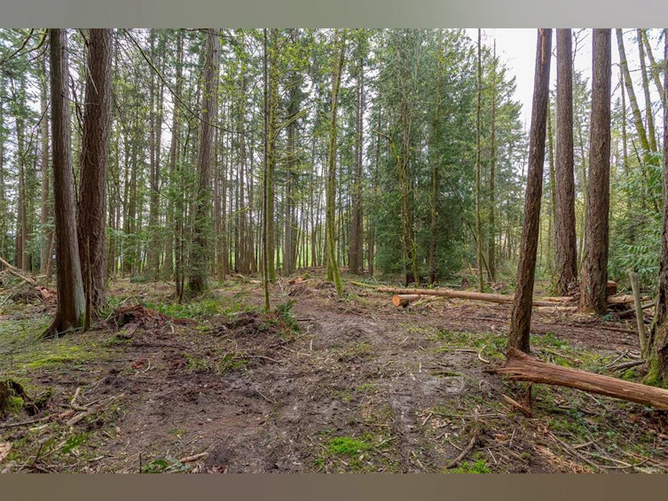 Lot A La Fortune Road, Cobble Hill, BC, V0R 1L4 - 19