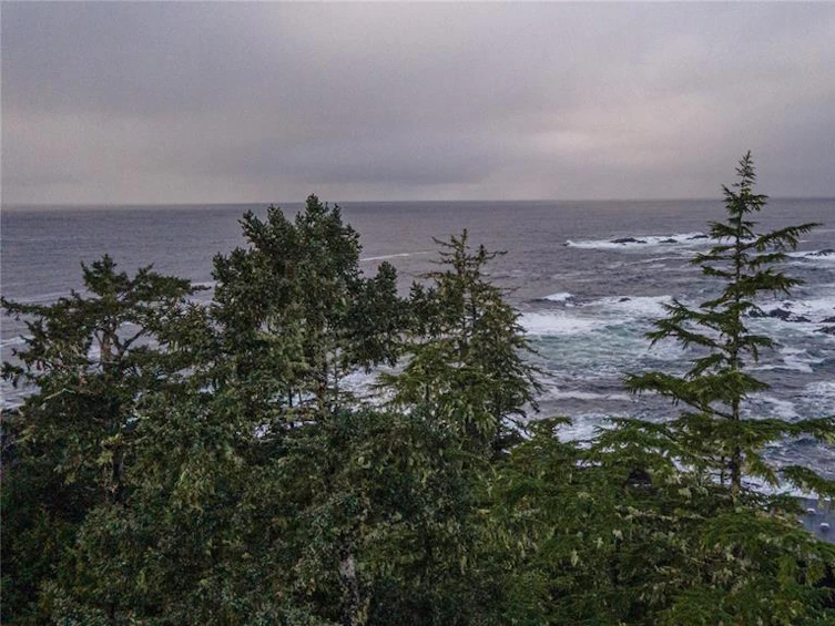 812 Odyssey Lane, Ucluelet, BC, V0R 3A0 - 5