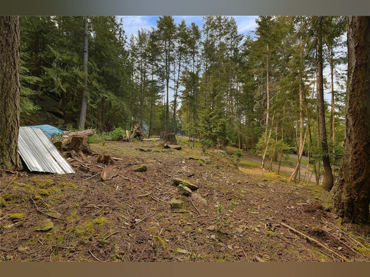 497 Abbott Road, Mayne Island, BC, V0N 2J1 - 4