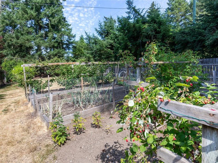 1765 Errington Road, Errington, BC, V0R 1V0 - 40