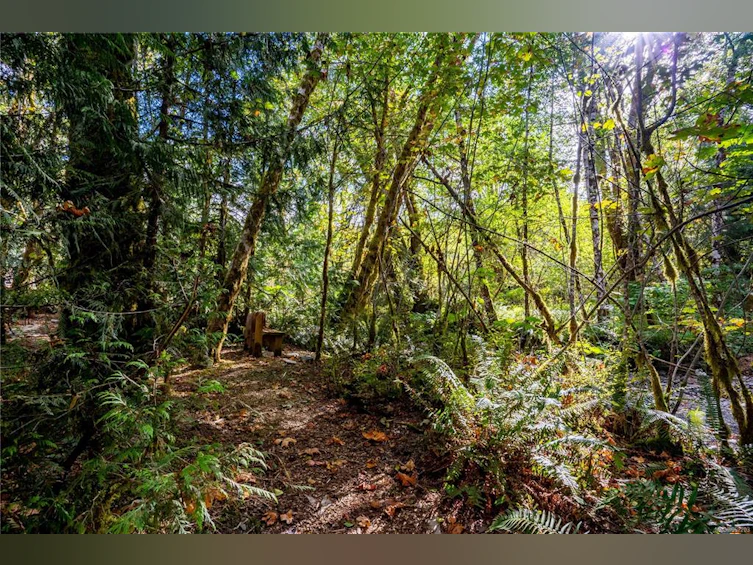 6744 Wall Street, Honeymoon Bay, BC, V0R 1Y0 - 45
