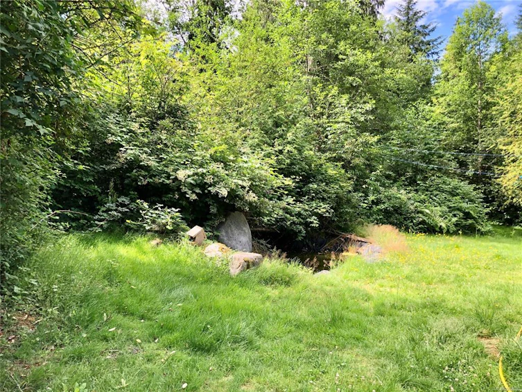 1608 Carrington Bay Road, Cortes Island, BC, V0P 1Z0 - 47