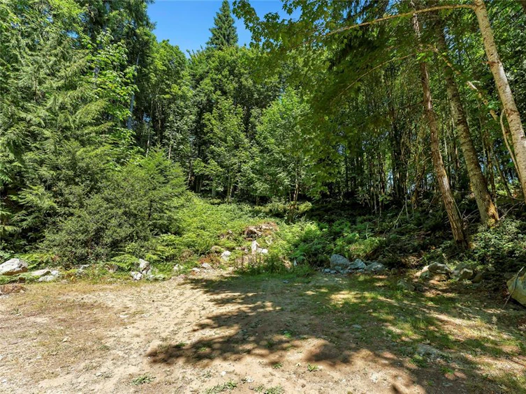 8580 North North Shore Road, Lake Cowichan, BC, V0R 2G0 - 47