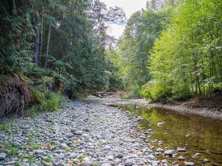 1161 Lee Road, French Creek, BC, V9P 2L2 - 77