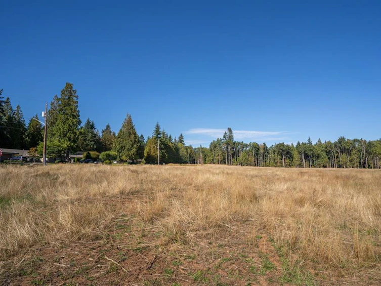 1161 Lee Road, French Creek, BC, V9P 2L2 - 83