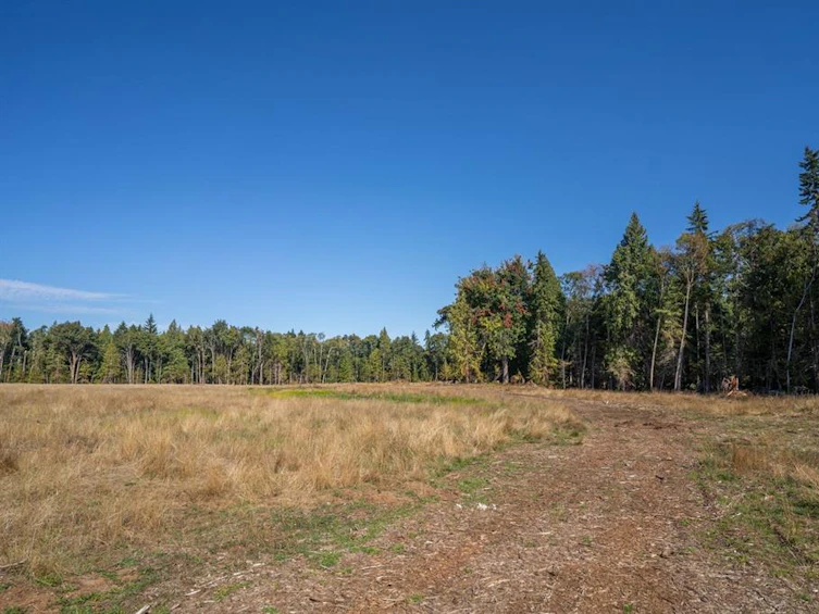 1161 Lee Road, French Creek, BC, V9P 2L2 - 85
