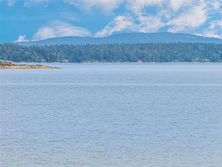 3973 Cove Road, Ladysmith, BC, V9G 1K5 - 60