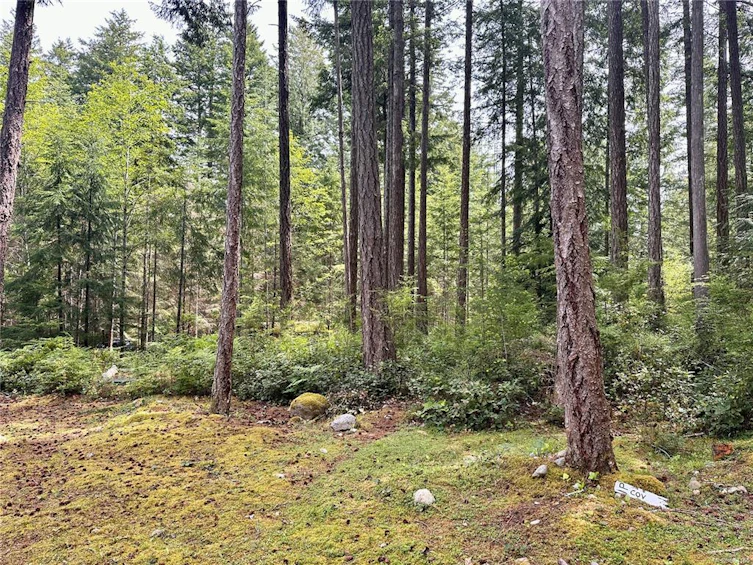 972 Siskin Lane, Cortes Island, BC, V0P 1K0 - 30
