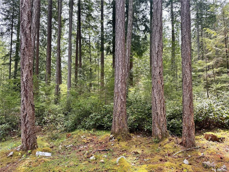 972 Siskin Lane, Cortes Island, BC, V0P 1K0 - 31