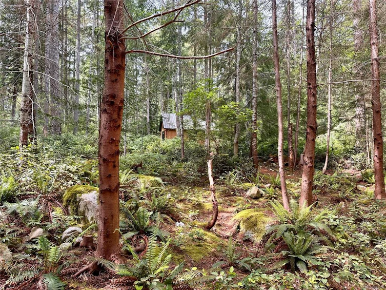 972 Siskin Lane, Cortes Island, BC, V0P 1K0 - 32