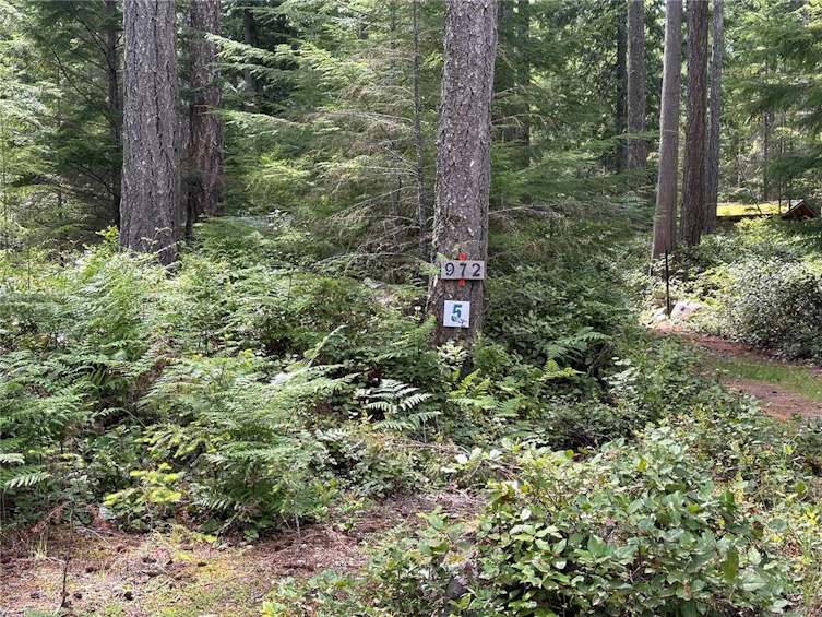 972 Siskin Lane, Cortes Island, BC, V0P 1K0 - 33