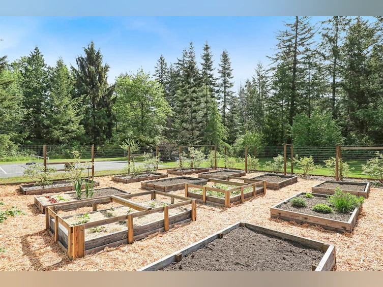 260 Bates Drive, Fanny Bay, BC, V0R 1W0 - 50
