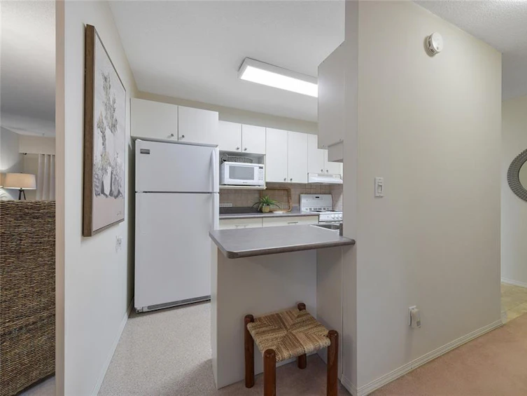 204-1041 Rockland Avenue, Victoria, BC, V8V 3H6 - 8