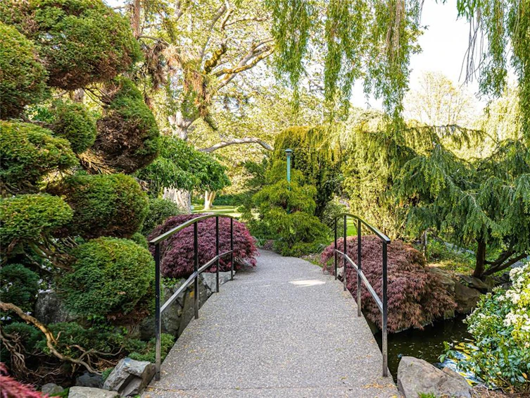 204-1041 Rockland Avenue, Victoria, BC, V8V 3H6 - 28