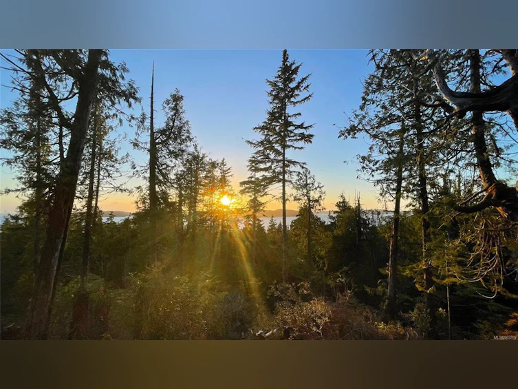 340 Tonquin Park Road, Tofino, BC, V0R 2Z0 - 2