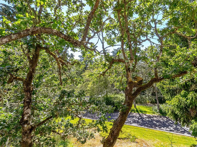 4-4305 Maltwood Lane, Saanich, BC, V8X 5G9 - 41