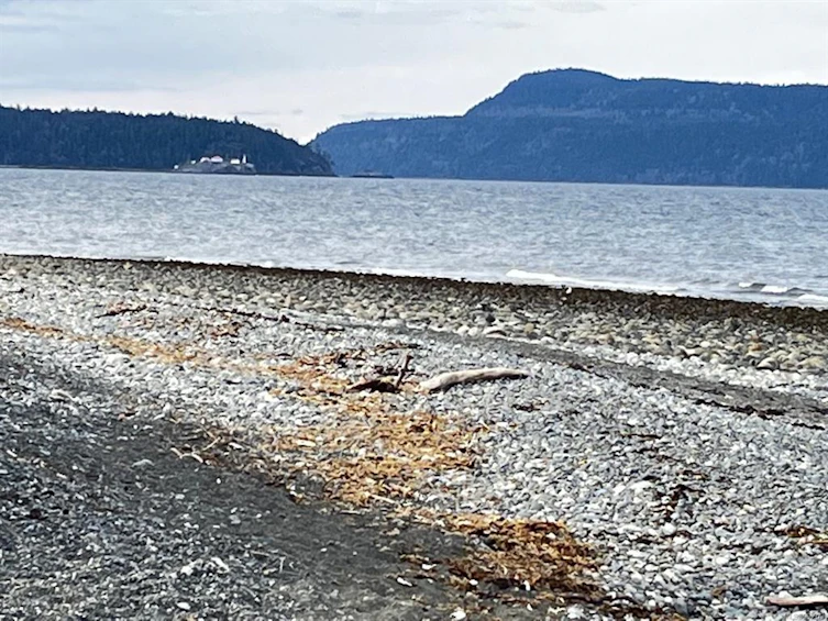 4565 Callow Road, Bowser/Deep Bay, BC, V0R 1G0 - 26