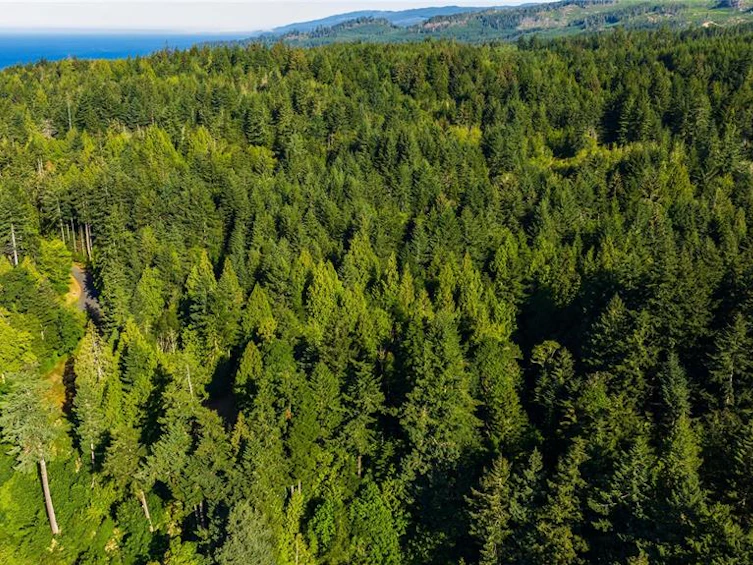 Lot-17 Lighthouse Point Road, Sooke, BC, V9Z 1G4 - 14