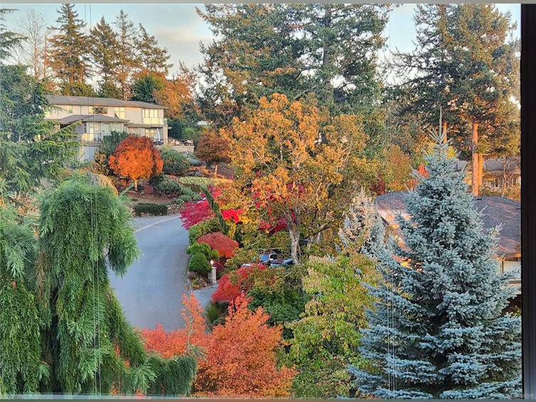 4620 Boulderwood Drive, Saanich, BC, V8Y 2V2 - 19