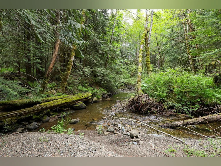 4777 Forbidden Plateau Road, Courtenay, BC, V9J 1R3 - 63