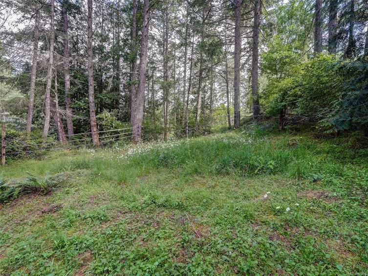 3383 Lakeridge Place, Highlands, BC, V9E 1C8 - 40