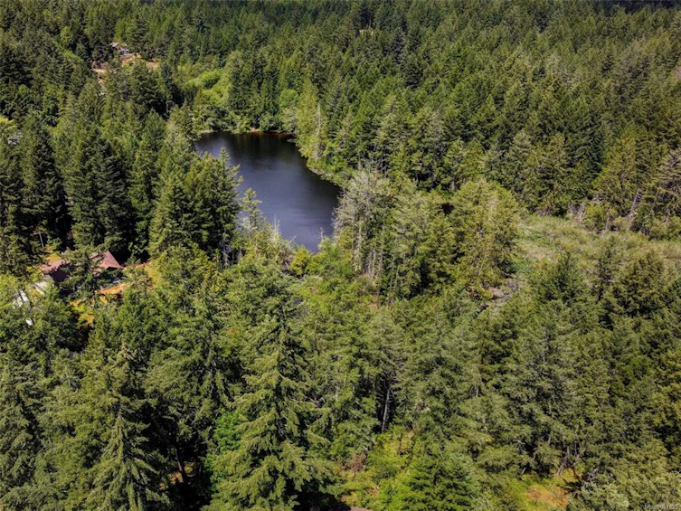 3383 Lakeridge Place, Highlands, BC, V9E 1C8 - 49