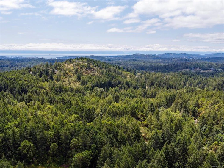 3383 Lakeridge Place, Highlands, BC, V9E 1C8 - 50