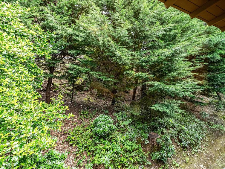 299 Nottingham Drive, Nanaimo, BC, V9T 1K7 - 48