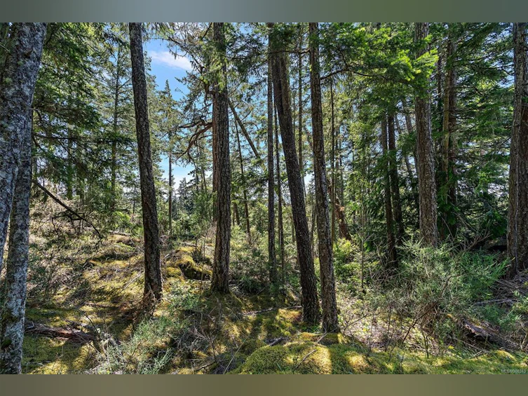 7824 Dalrae Place, Sooke, BC, V9Z 0R1 - 44
